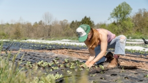 Exemplo de uma ação de regeneração ambiental, com uma mulher plantando novas mudas.