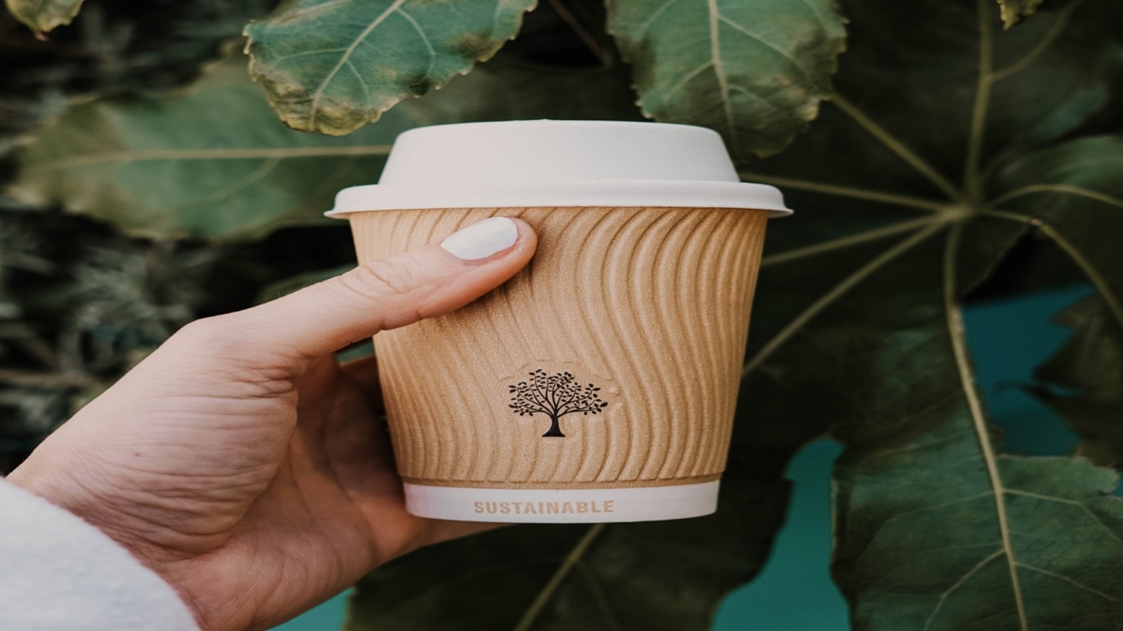 Capa do artigo sobre a preferência do público alvo por empresas sustentáveis. Foto de uma mão segurando um copo de café descartável na frente de algumas árvores. Na embalagem está escrito "sustentável".