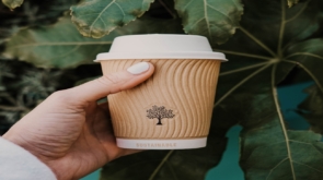 Capa do artigo sobre a preferência do público alvo por empresas sustentáveis. Foto de uma mão segurando um copo de café descartável na frente de algumas árvores. Na embalagem está escrito "sustentável".